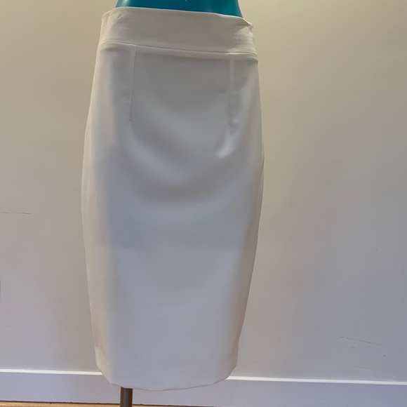 Skirt (NWOT) - Picture 1 of 2